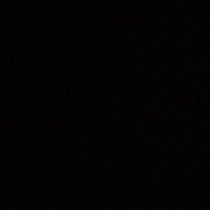 Meet your Posher, Max